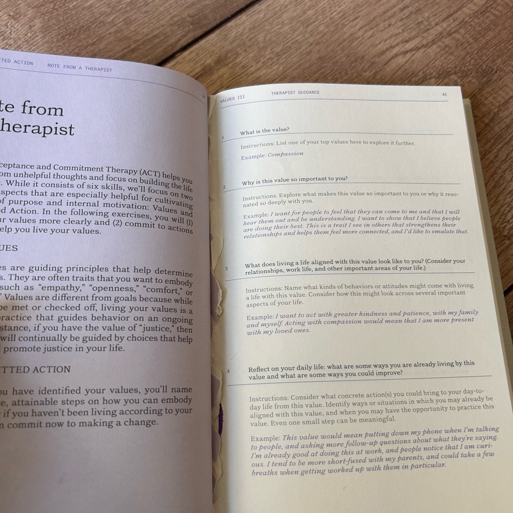 The Depression Guidebook - Picture 4 of 10